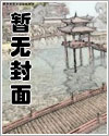 雪域情全集